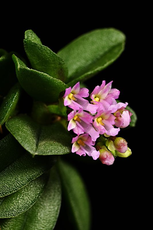D85_7099_006s.jpg