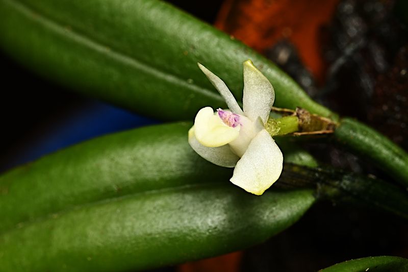 D85_7117_005s.jpg