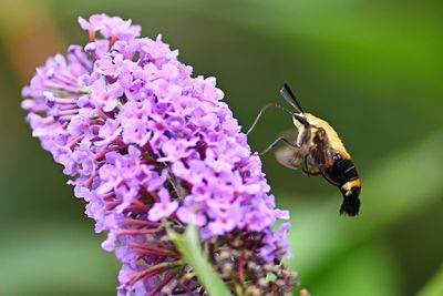 D72_0997_00013s.jpg