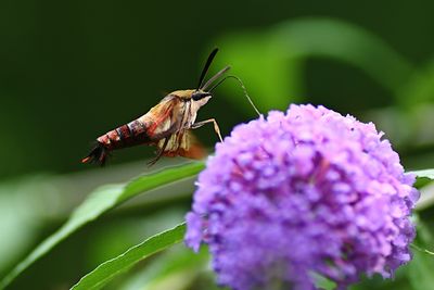 D72_1022_00023s.jpg
