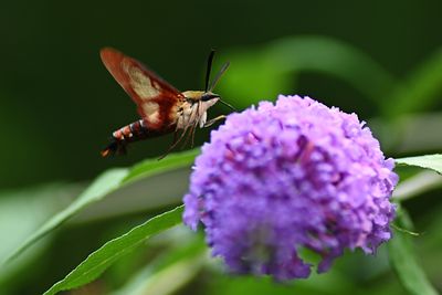 D72_1023_00024s.jpg