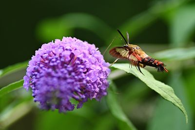 D72_1033_00026s.jpg