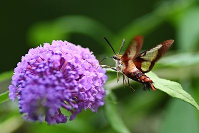D72_1034_00027s.jpg