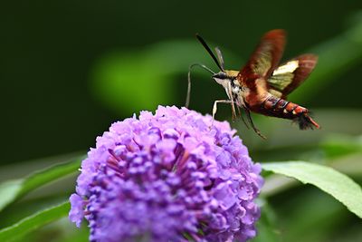 D72_1037_00028s.jpg