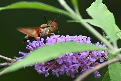 D72_1047_00030s.jpg