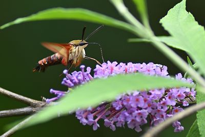 D72_1049_00032s.jpg