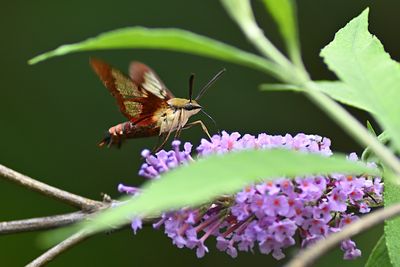D72_1050_00033s.jpg