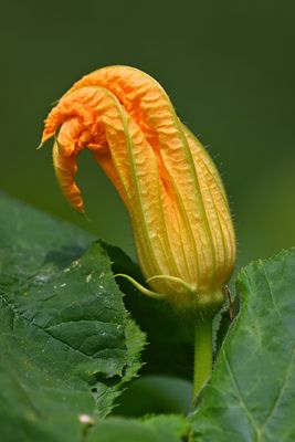 D72_1146_00040s.jpg