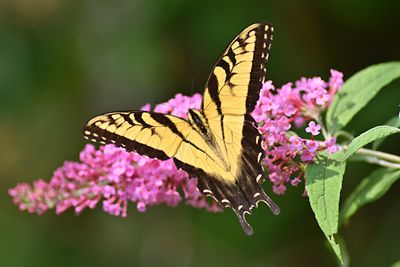 D72_1260_00044s.jpg