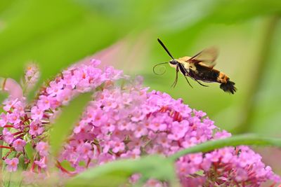 D72_1386_00050s.jpg