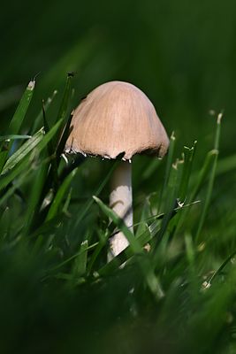 D72_2402_00004s.jpg