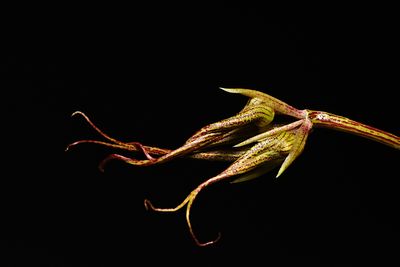 D72_3745_012s.jpg