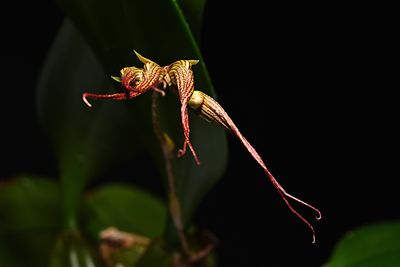 D72_3842_008s.jpg