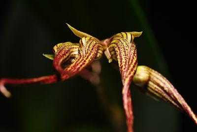 D72_3846_009s.jpg