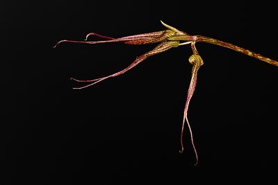 D72_3851_011s.jpg