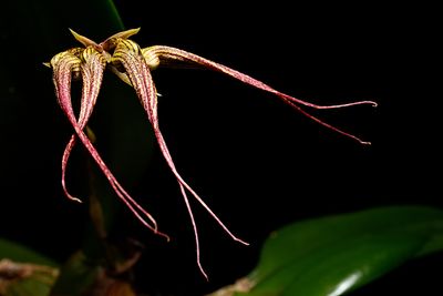 D72_3876_007s.jpg