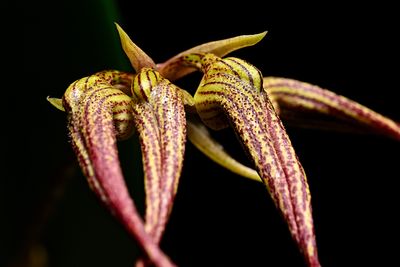 D72_3885_009s.jpg