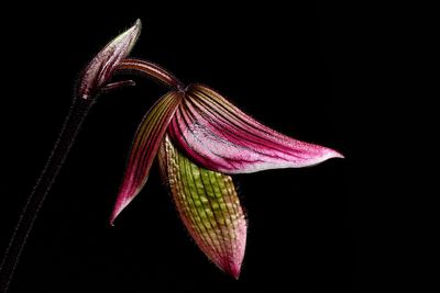 D72_3890_011s.jpg