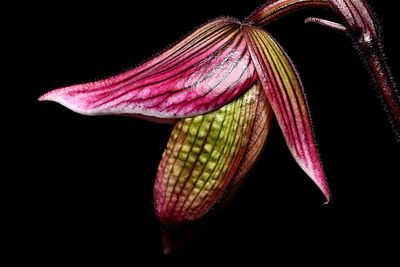 D72_3895_013s.jpg
