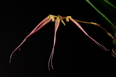 D72_3993_006s.jpg