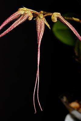 D72_4001_008s.jpg
