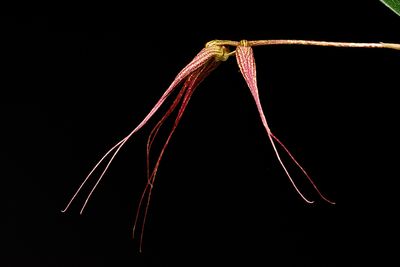 D72_4030_016s.jpg
