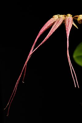 D72_4040_018s.jpg