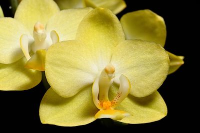 D72_4419_013s.jpg