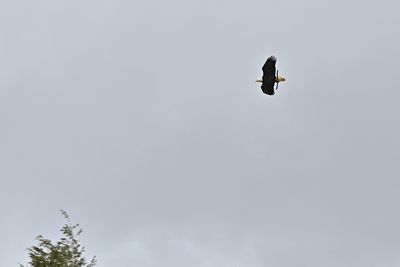 D85_0325_007s.jpg