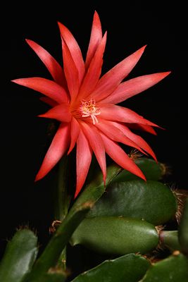 D85_1426_008s.jpg