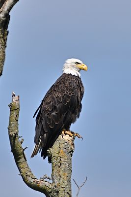 D85_2174_003s.jpg
