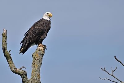 D85_2246_006s.jpg