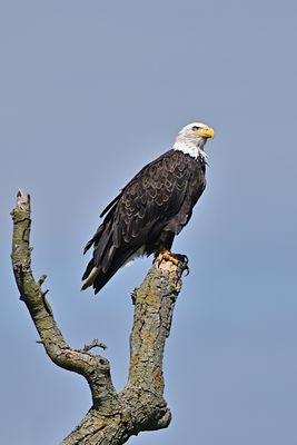 D85_2248_007s.jpg