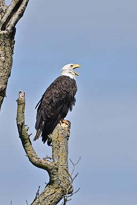 D85_2264_009s.jpg