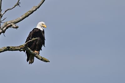 D85_2306_012s.jpg