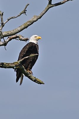 D85_2359_014s.jpg