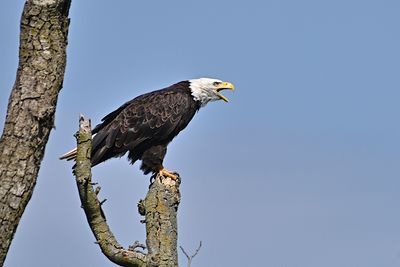 D85_2414_018s.jpg