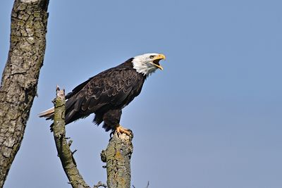 D85_2423_020s.jpg