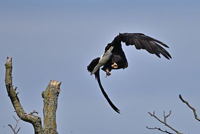 D85_2463_028s.jpg