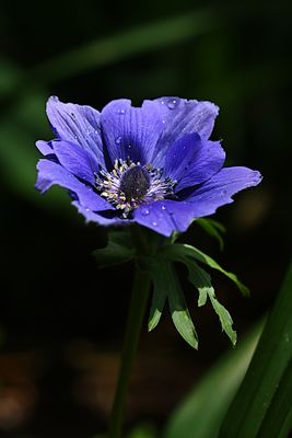 D85_2565_002s.jpg