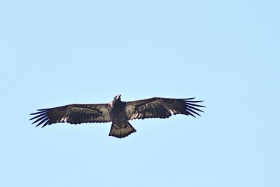 D85_2481_001s.jpg