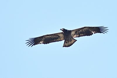 D85_2484_002s.jpg
