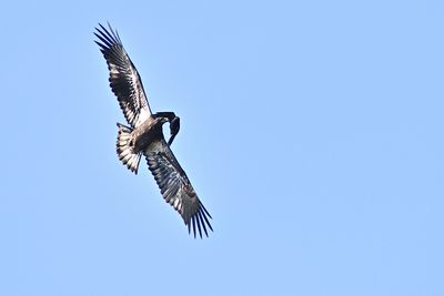 D85_2497_003s.jpg