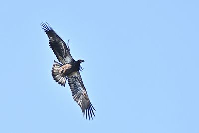 D85_2498_004s.jpg