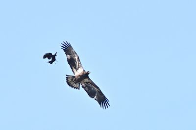 D85_2506_007s.jpg
