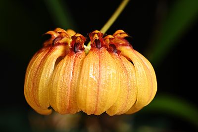 D85_3110_004s.jpg