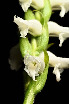 D85_3409_017s.jpg