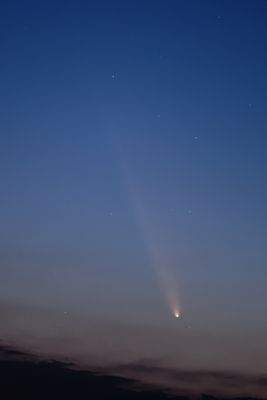 D85_4016_004.jpg