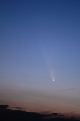 D85_3999_002.jpg