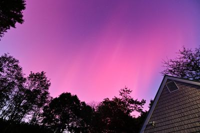 D85_3581_003.jpg